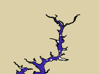 VIMS jellyfish map for today, Alexandria