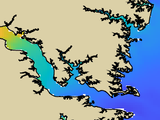VIMS jellyfish map for today, Lancaster County