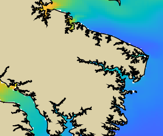 VIMS jellyfish map for today, Northumberland County