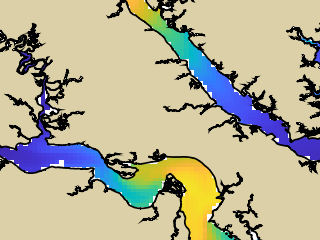 VIMS jellyfish map for today, Williamsburg